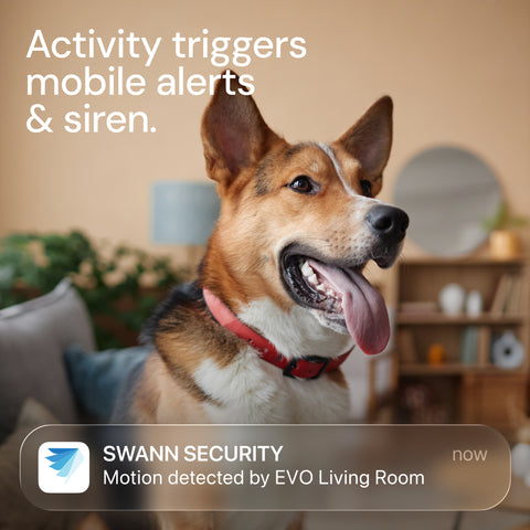 EVO Pan & Tilt Wi-Fi Camera