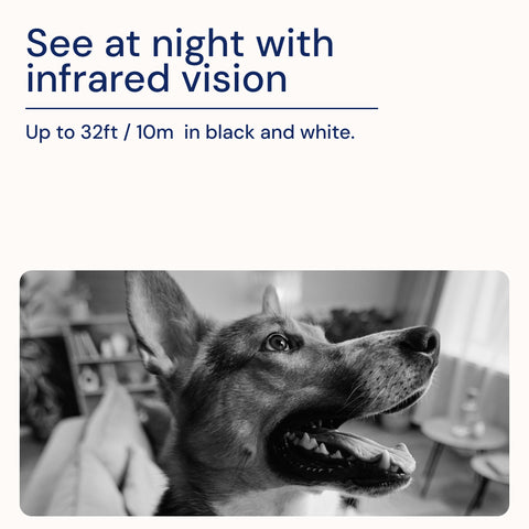 EVO Pan & Tilt Wi-Fi Camera