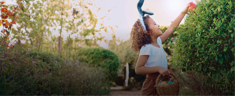 Our Easter Gift to you